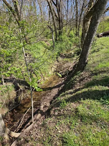 2515 Smith Hollow Road Lynnville TN 38472