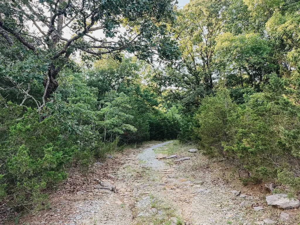 1716 S Berlin Lewisburg TN 37091