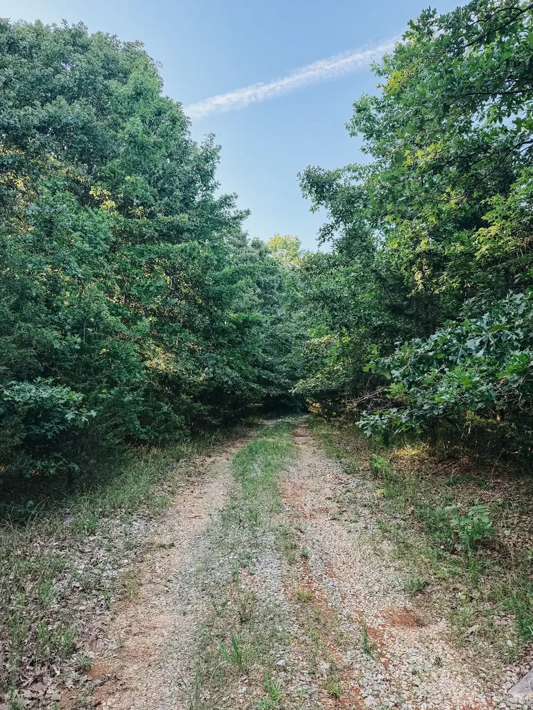 1716 S Berlin Lewisburg TN 37091