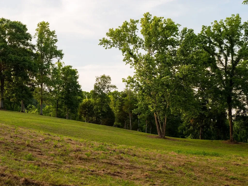 66 Shawnokee Trail Charlotte TN 37036
