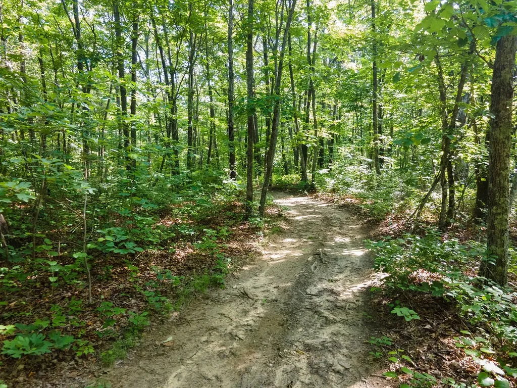 0 Valley View Drive Altamont TN 37301
