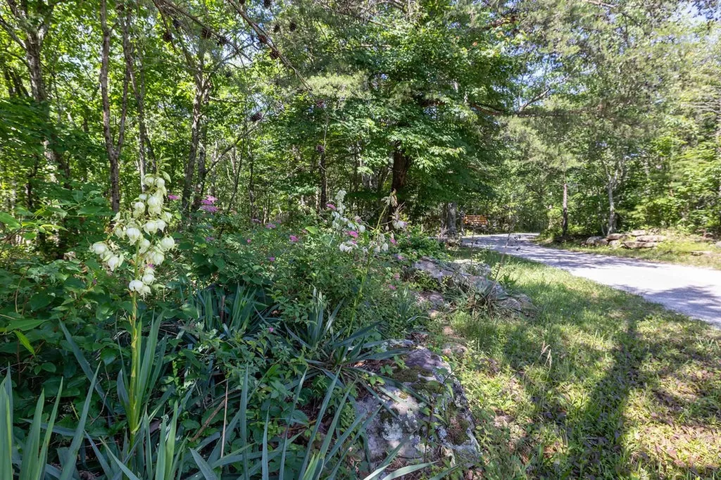 0 Valley View Drive Altamont TN 37301