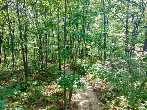 0 Valley View Drive Altamont TN 37301