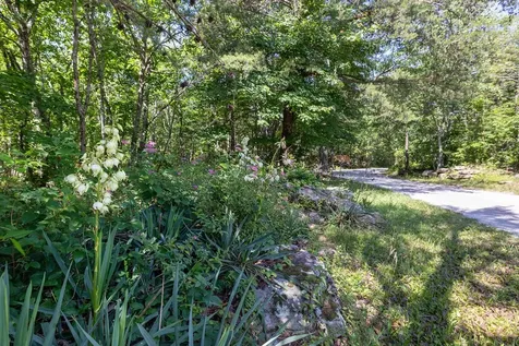 0 Valley View Drive Altamont TN 37301