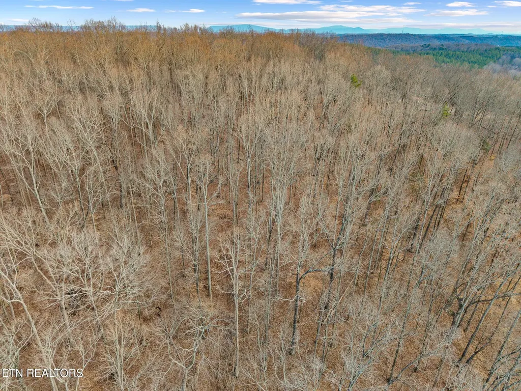 365 County Road 38 Riceville TN 37370