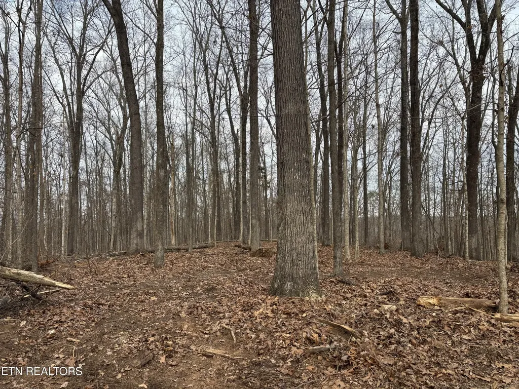 361 County Road 38 Riceville TN 37370
