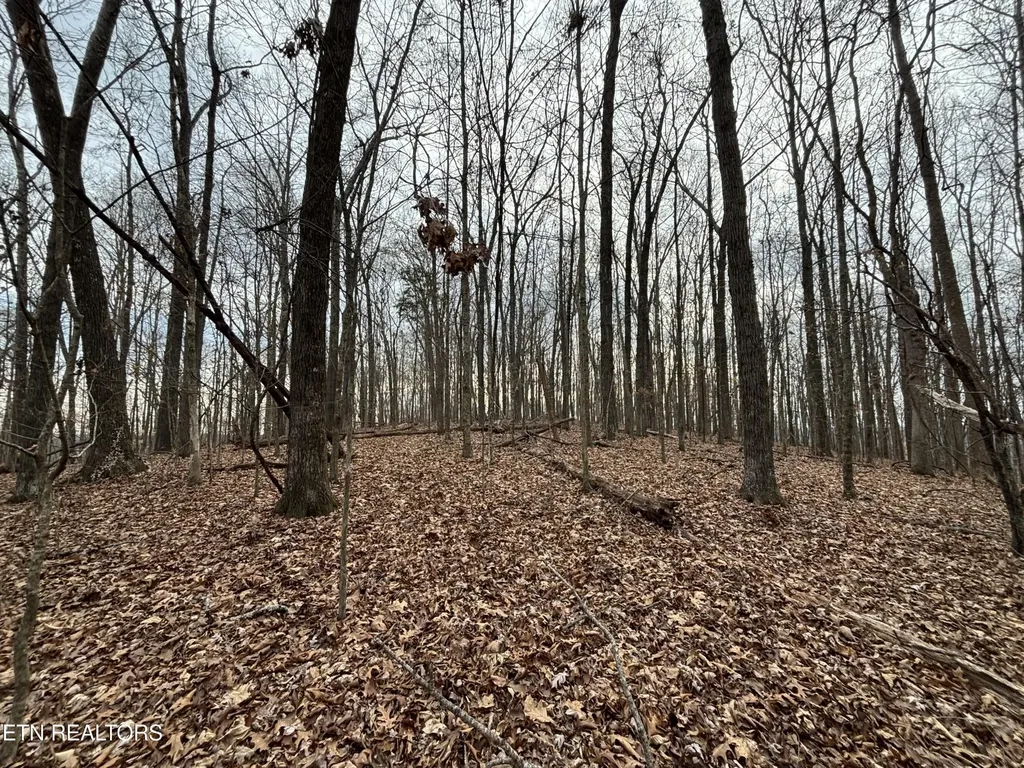 361 County Road 38 Riceville TN 37370