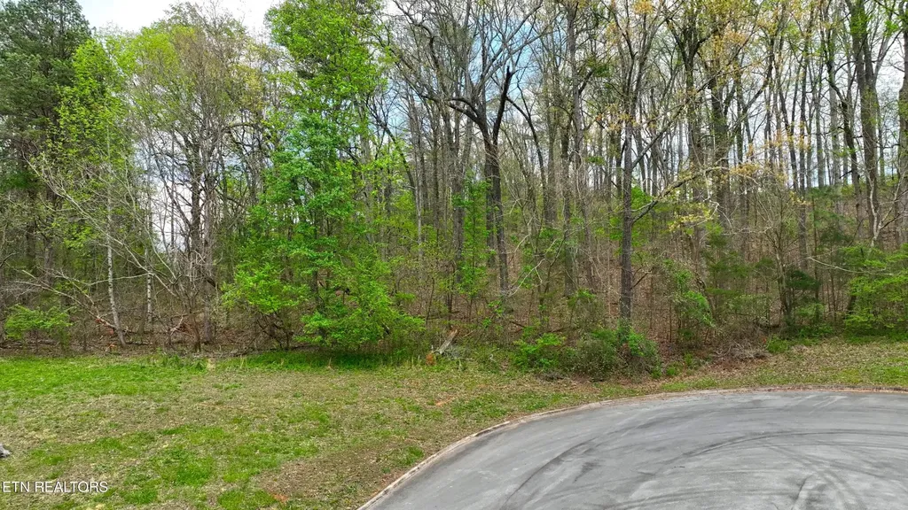 765 Wood Duck Drive Vonore TN 37885