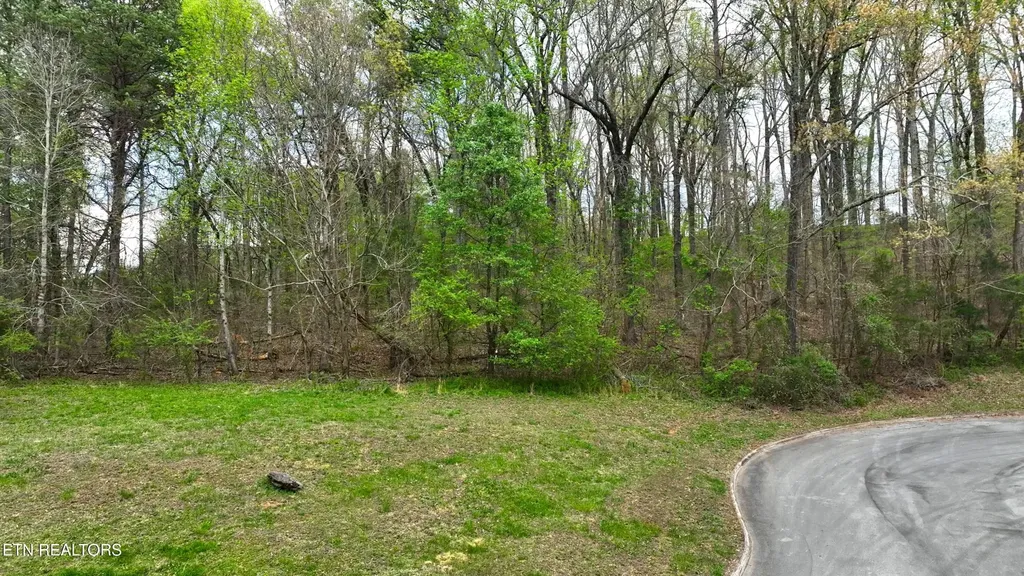 765 Wood Duck Drive Vonore TN 37885