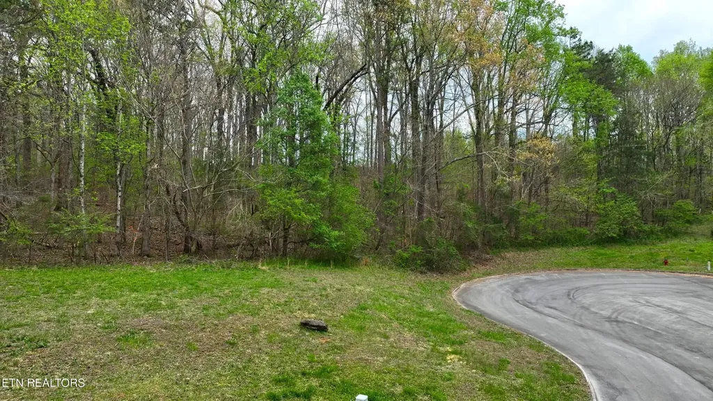 765 Wood Duck Drive Vonore TN 37885
