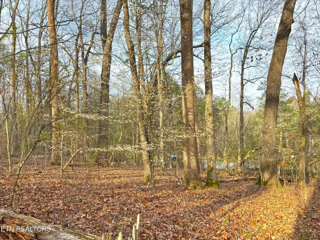 765 Wood Duck Drive Vonore TN 37885