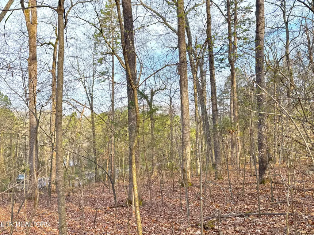 765 Wood Duck Drive Vonore TN 37885
