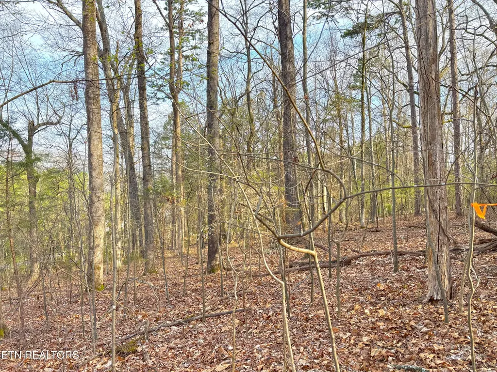765 Wood Duck Drive Vonore TN 37885