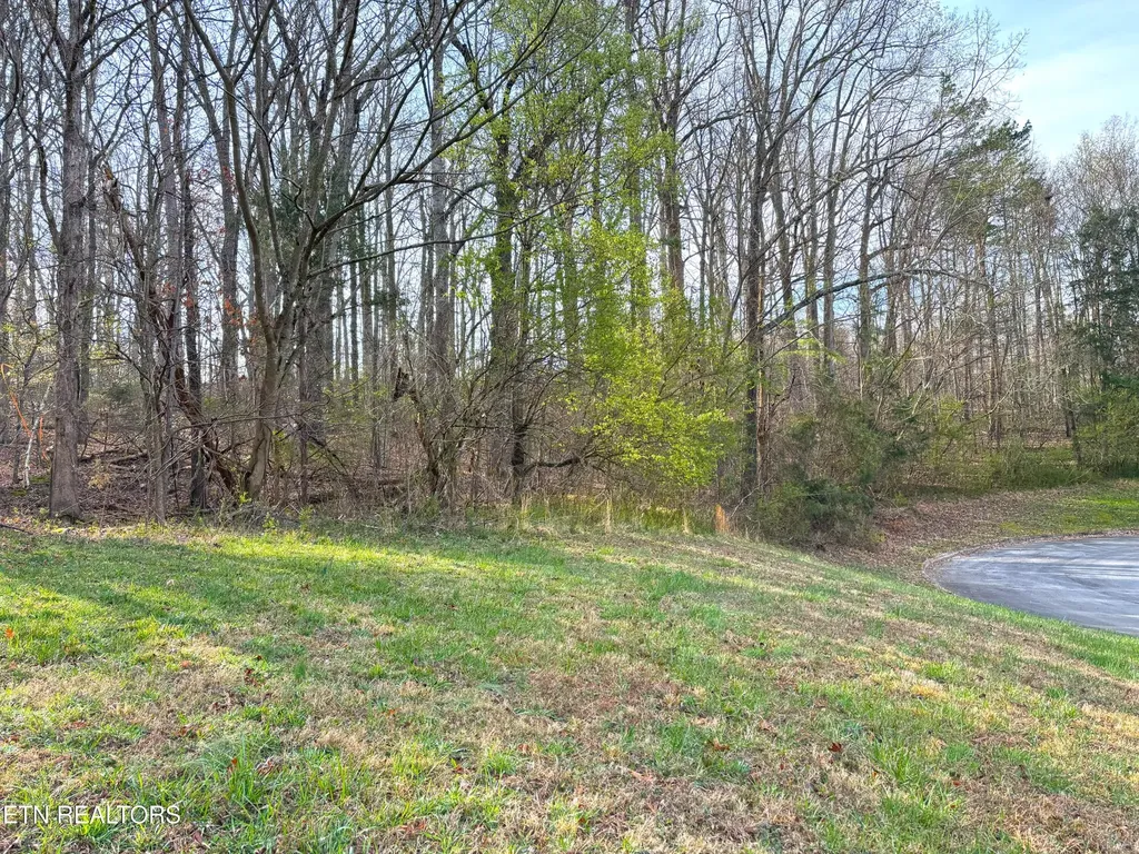 765 Wood Duck Drive Vonore TN 37885