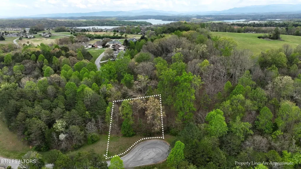 765 Wood Duck Drive Vonore TN 37885
