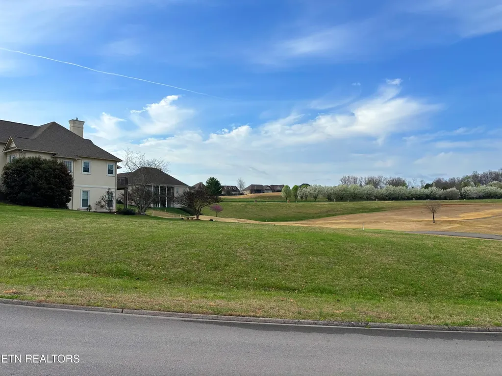 415 Wood Duck Drive Vonore TN 37885