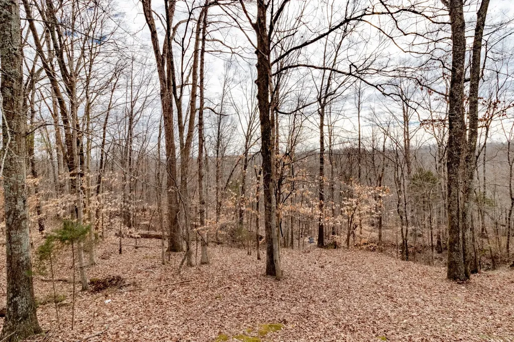 461 Martha Lane Clarksville TN 37043