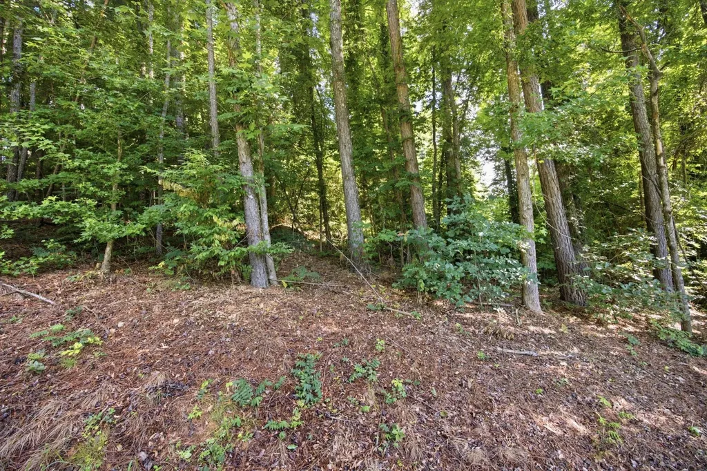 42 Troy Drive Dayton TN 37321