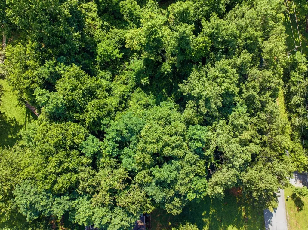 42 Troy Drive Dayton TN 37321