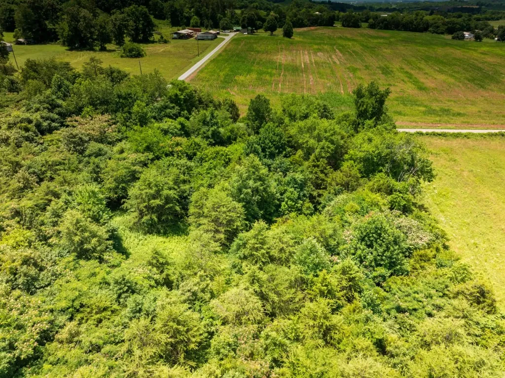 0 Mcghee Road Greenback TN 37742
