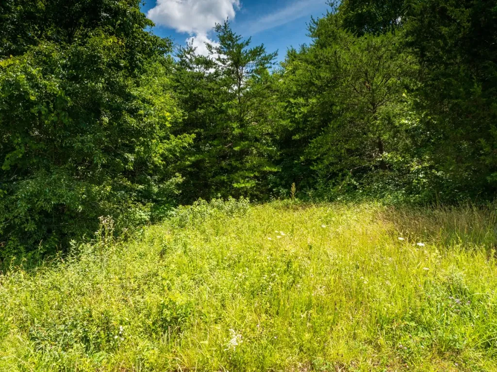0 Mcghee Road Greenback TN 37742