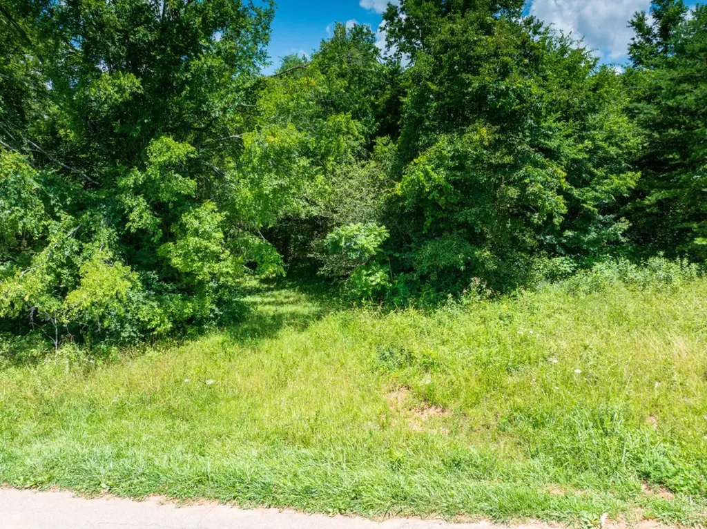0 Mcghee Road Greenback TN 37742