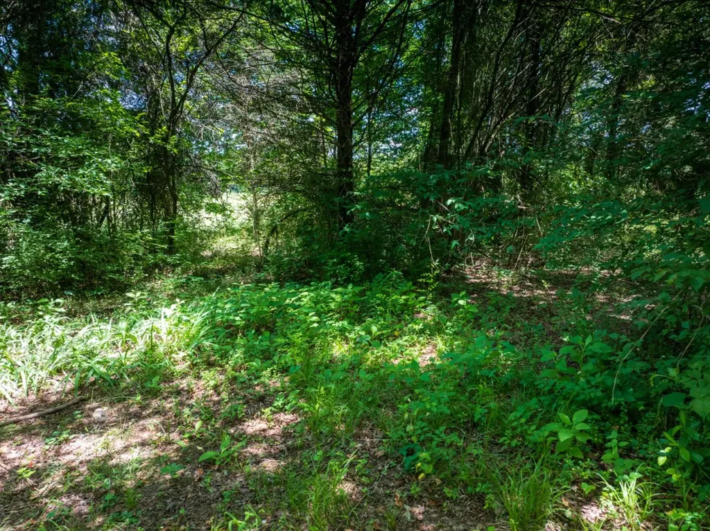 0 Mcghee Road Greenback TN 37742