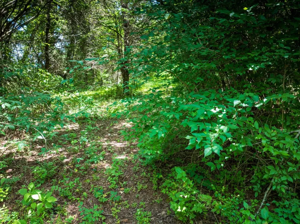 0 Mcghee Road Greenback TN 37742