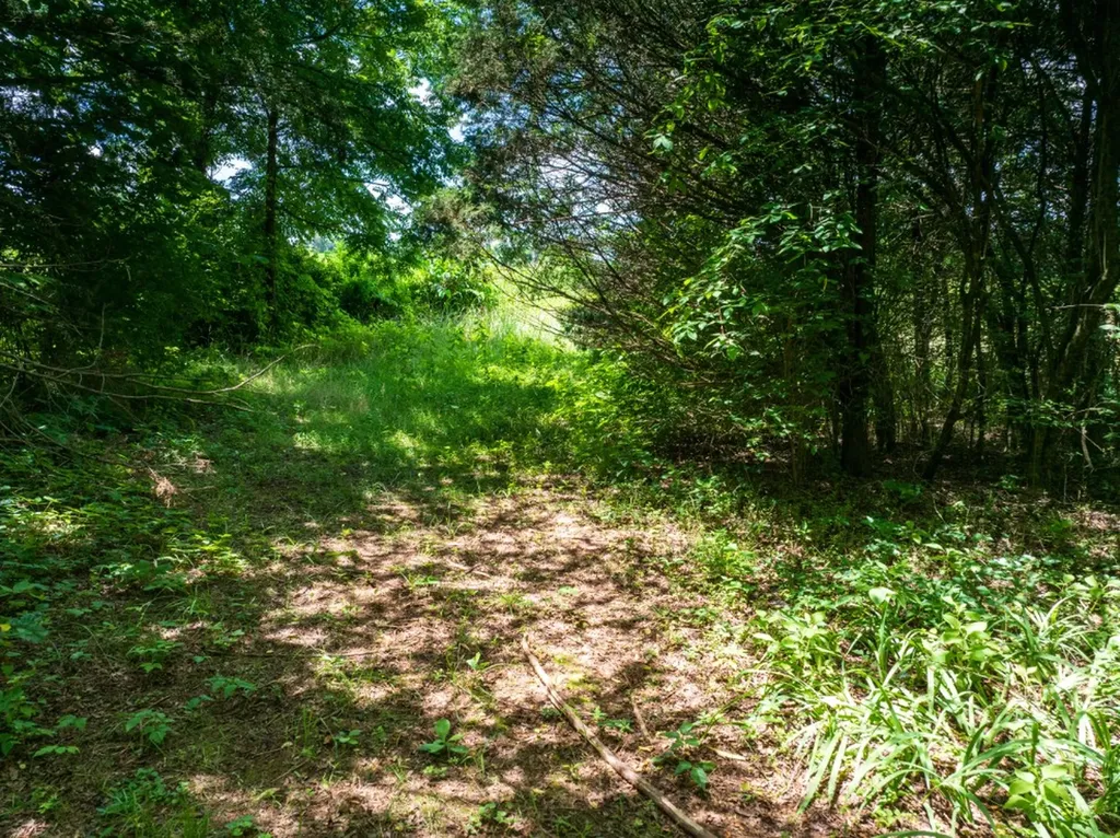 0 Mcghee Road Greenback TN 37742