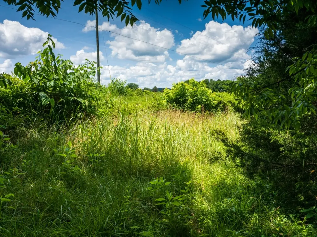 0 Mcghee Road Greenback TN 37742
