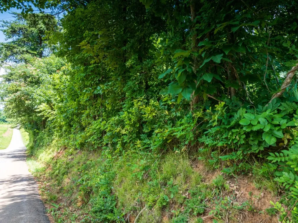 0 Mcghee Road Greenback TN 37742