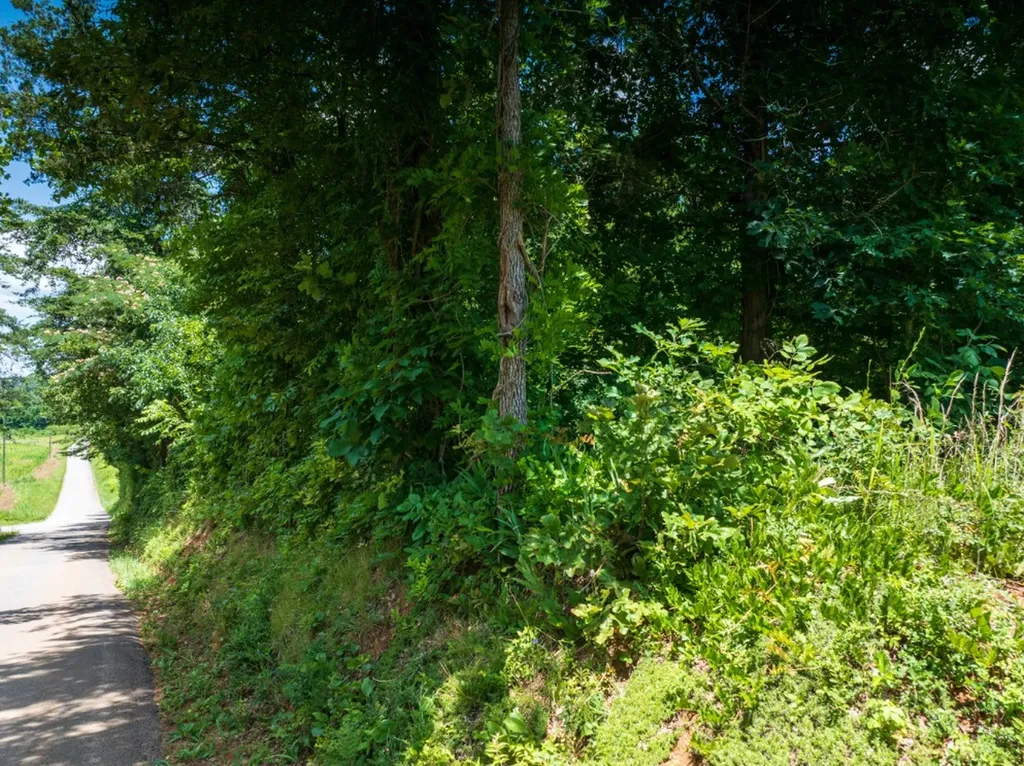 0 Mcghee Road Greenback TN 37742