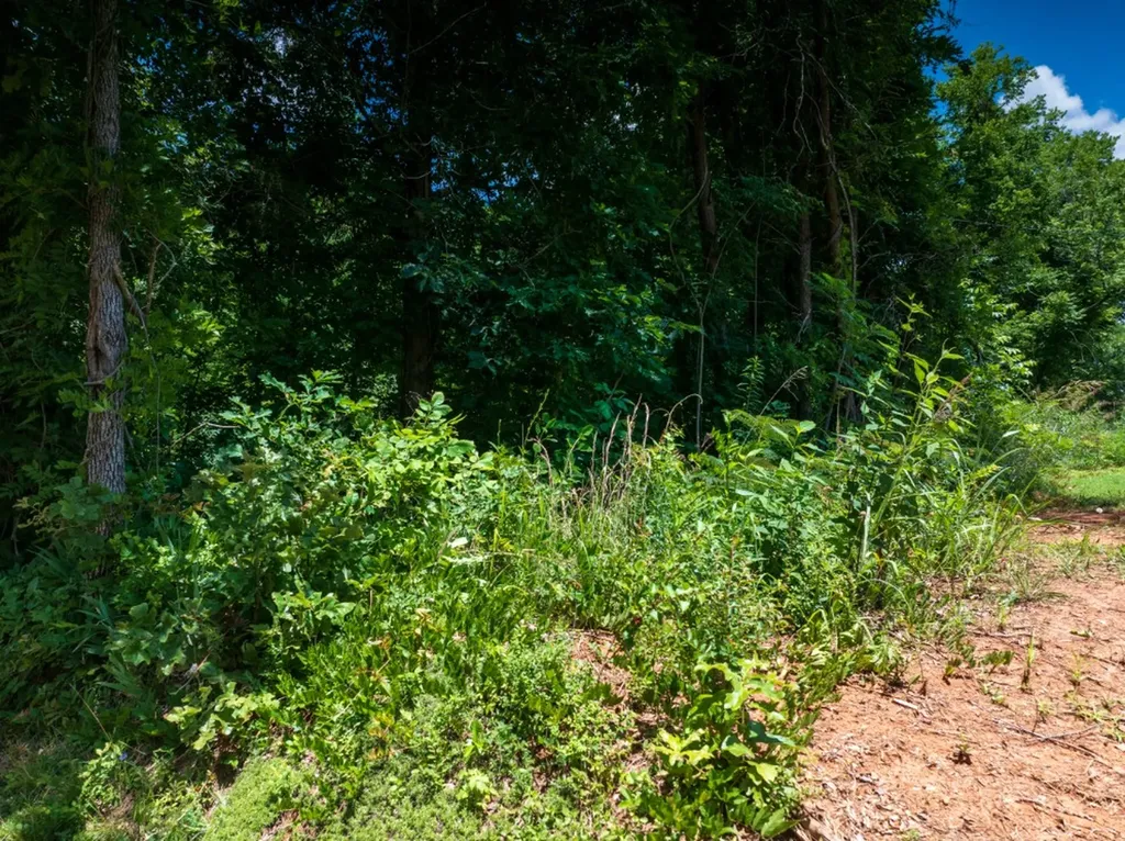 0 Mcghee Road Greenback TN 37742