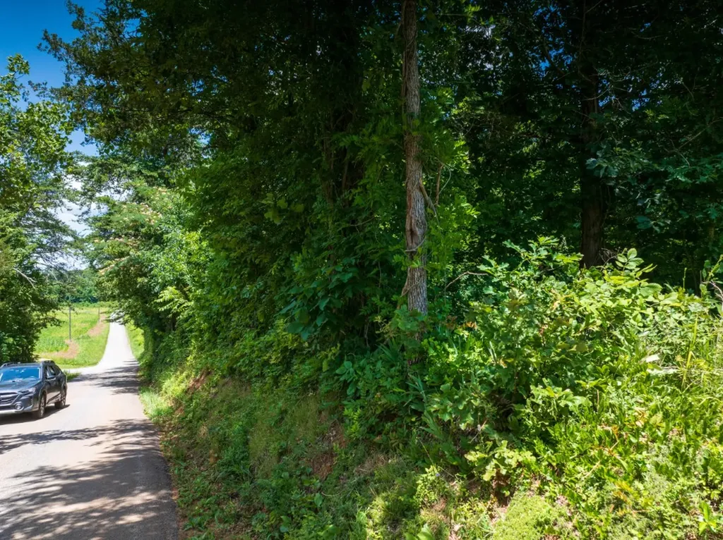 0 Mcghee Road Greenback TN 37742