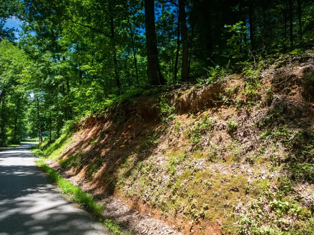 0 Mcghee Road Greenback TN 37742