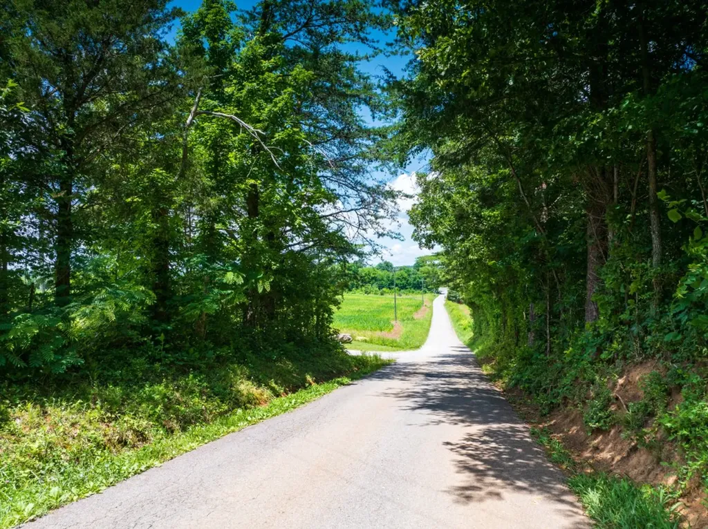 0 Mcghee Road Greenback TN 37742