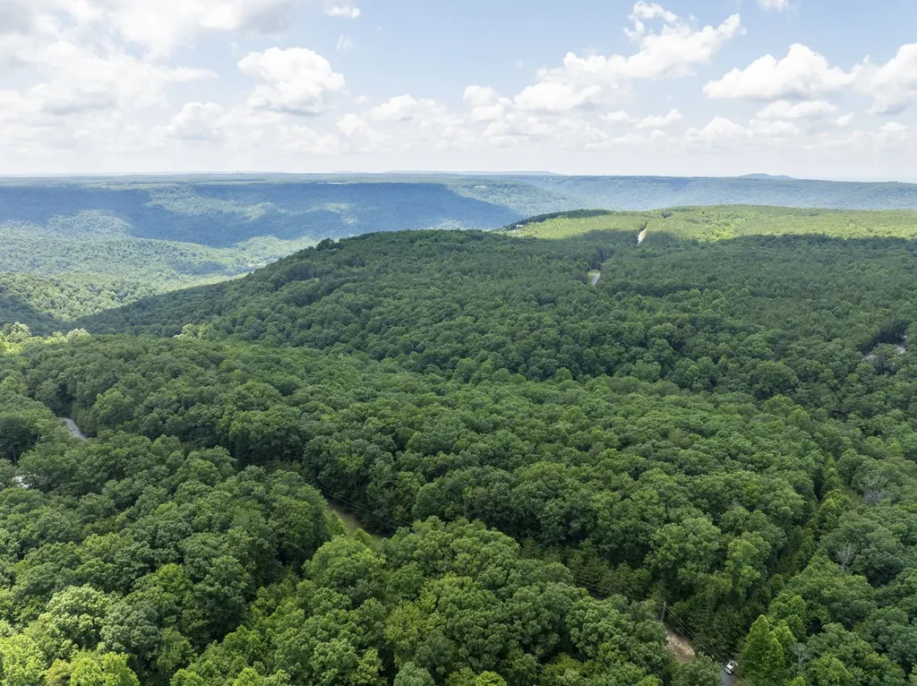 19 Quail Lane Spencer TN 38585