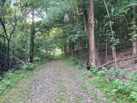250 Hurt Road Hendersonville TN 37075