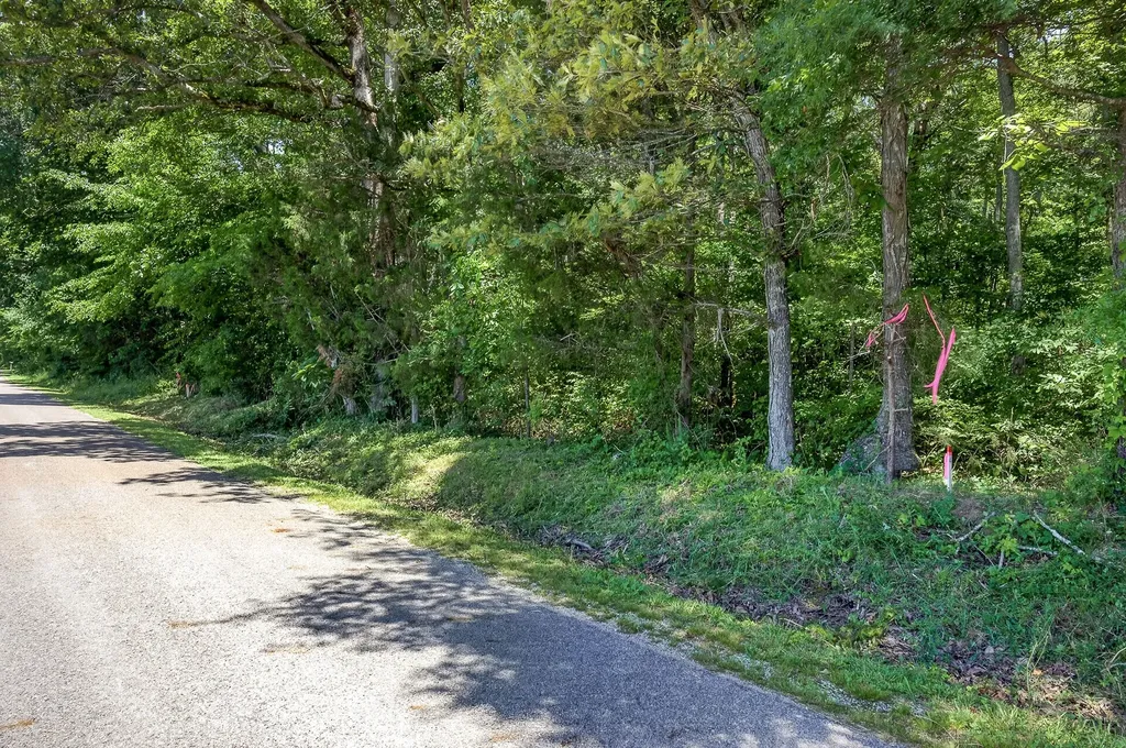 0 Lowery Road Smithville TN 37166