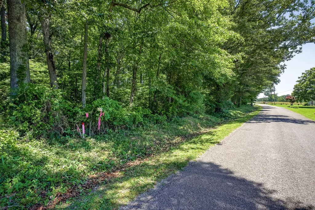 0 Lowery Road Smithville TN 37166