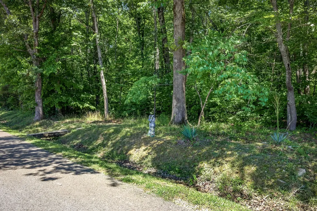 0 Lowery Road Smithville TN 37166