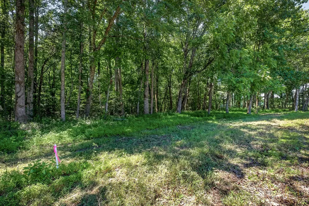 0 Lowery Road Smithville TN 37166
