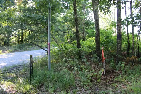 0 Long Mtn Road Mc Minnville TN 37110