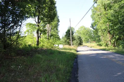 0 Long Mtn Road Mc Minnville TN 37110
