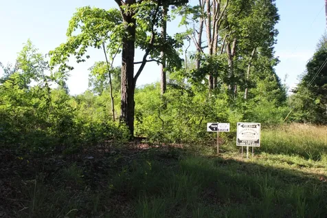 0 Long Mtn Road Mc Minnville TN 37110