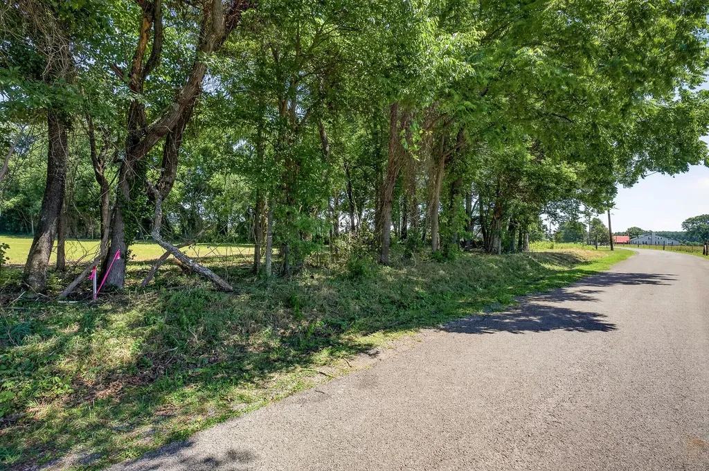 0 Lowery Road Smithville TN 37166
