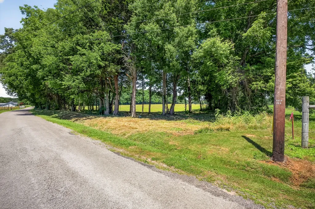 0 Lowery Road Smithville TN 37166