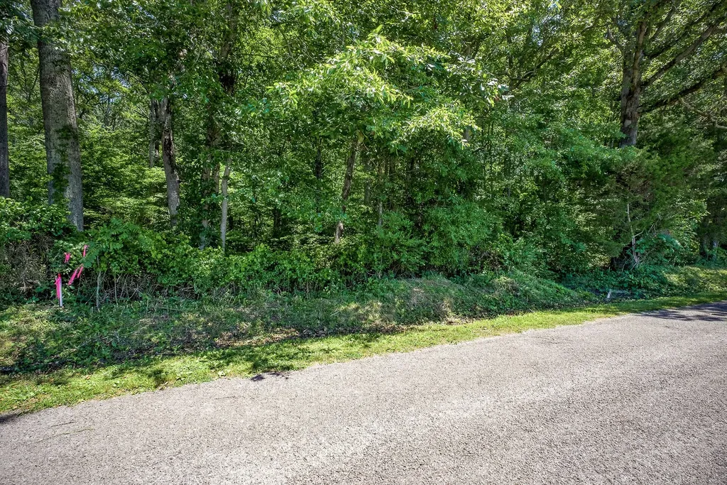 0 Lowery Road Smithville TN 37166