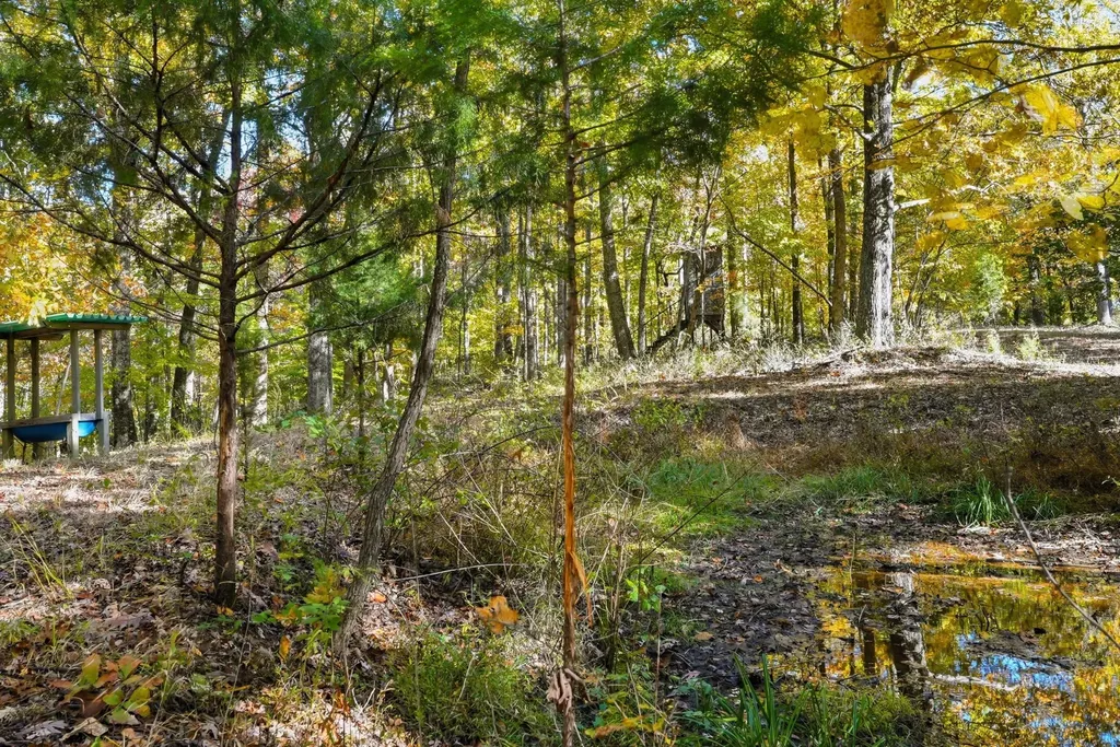 4300 Bull Run Road Ashland City TN 37015