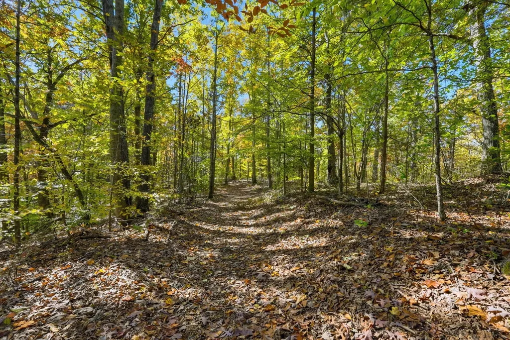 4300 Bull Run Road Ashland City TN 37015